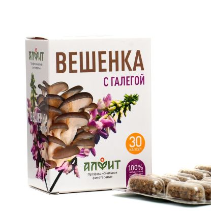 Изображение Концентрат на растительном сырье Вешенка с галегой 30 капсул по 500 мг
